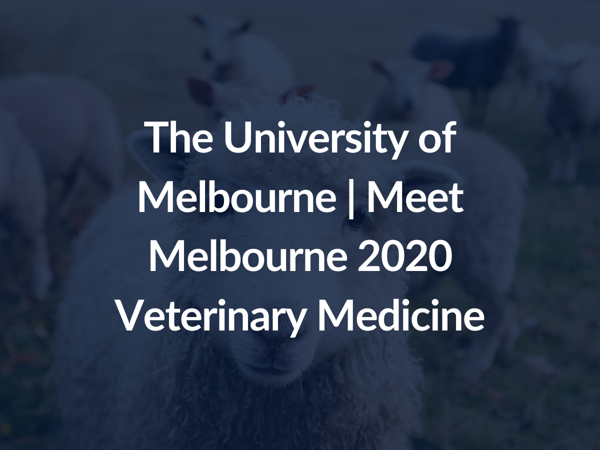 university of melbourne veterinary medicine ib requirements